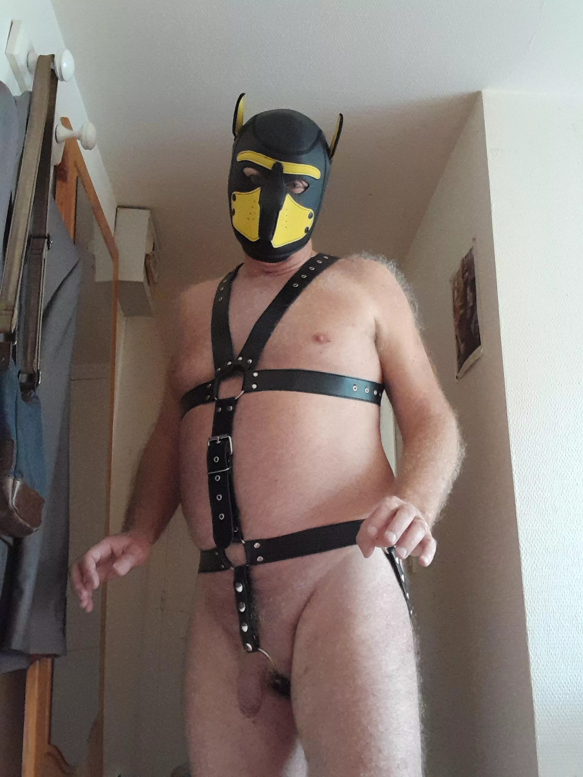 Pup walking [oc] posted by Happy-Set-25