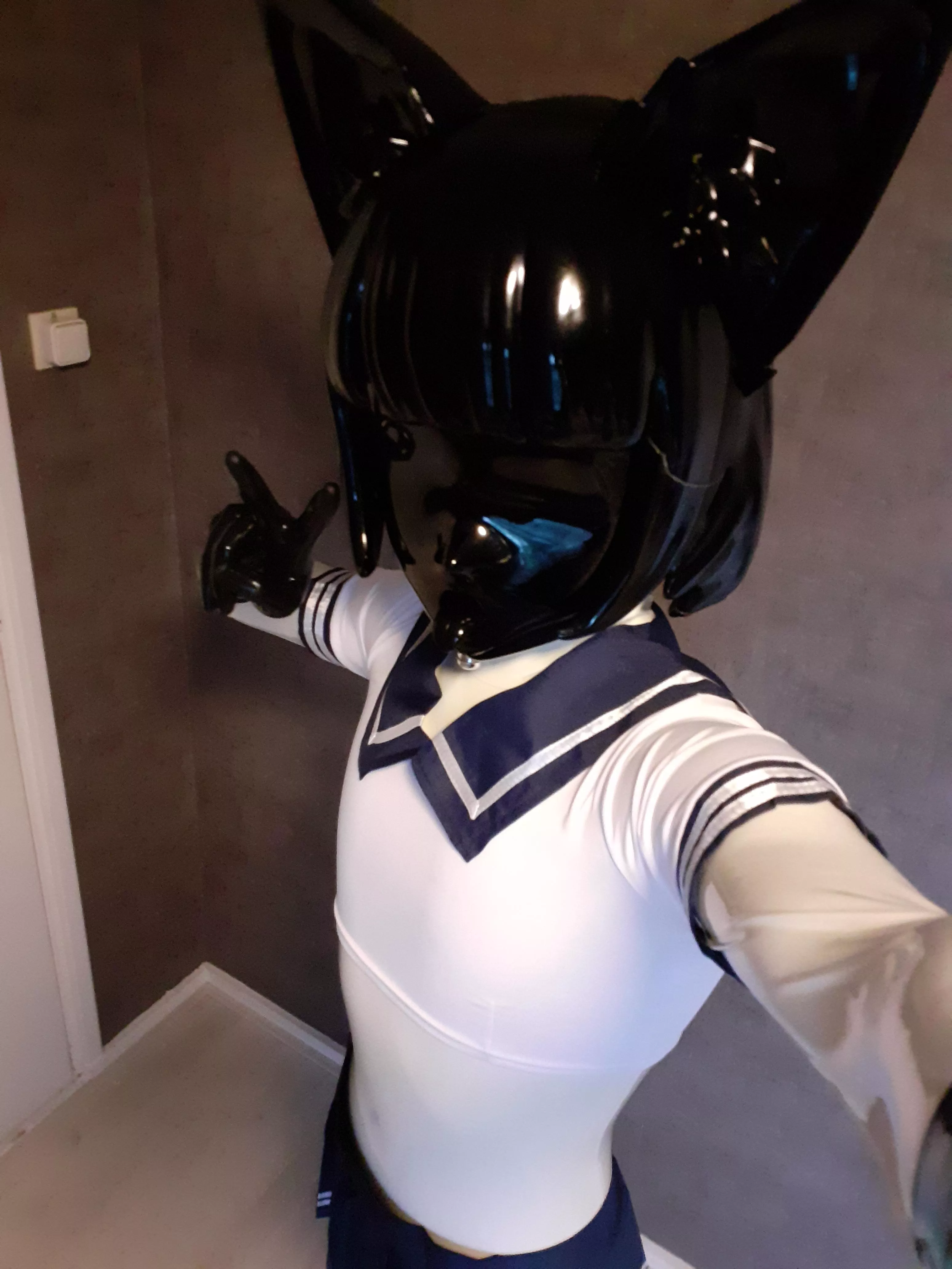 Seems the kitty has found a new outfit to play around with 🤭 posted by BunchOfTwelveBunnies
