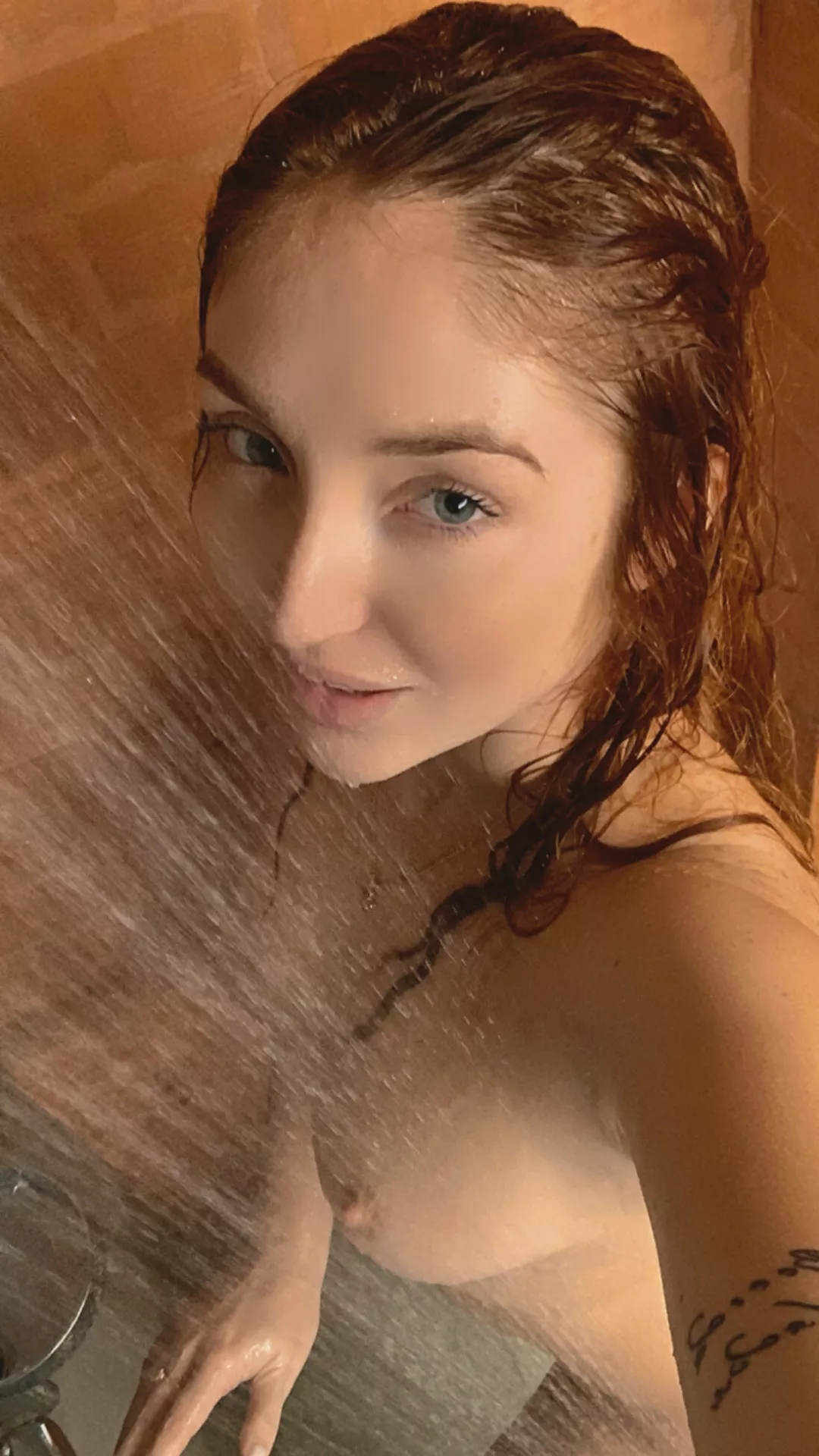 The lovely Red Fox  posted by Kratos20101