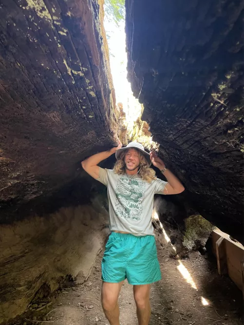 What’s your favorite thing to find on a trail? I love tree tunnels!  by canyon-canid