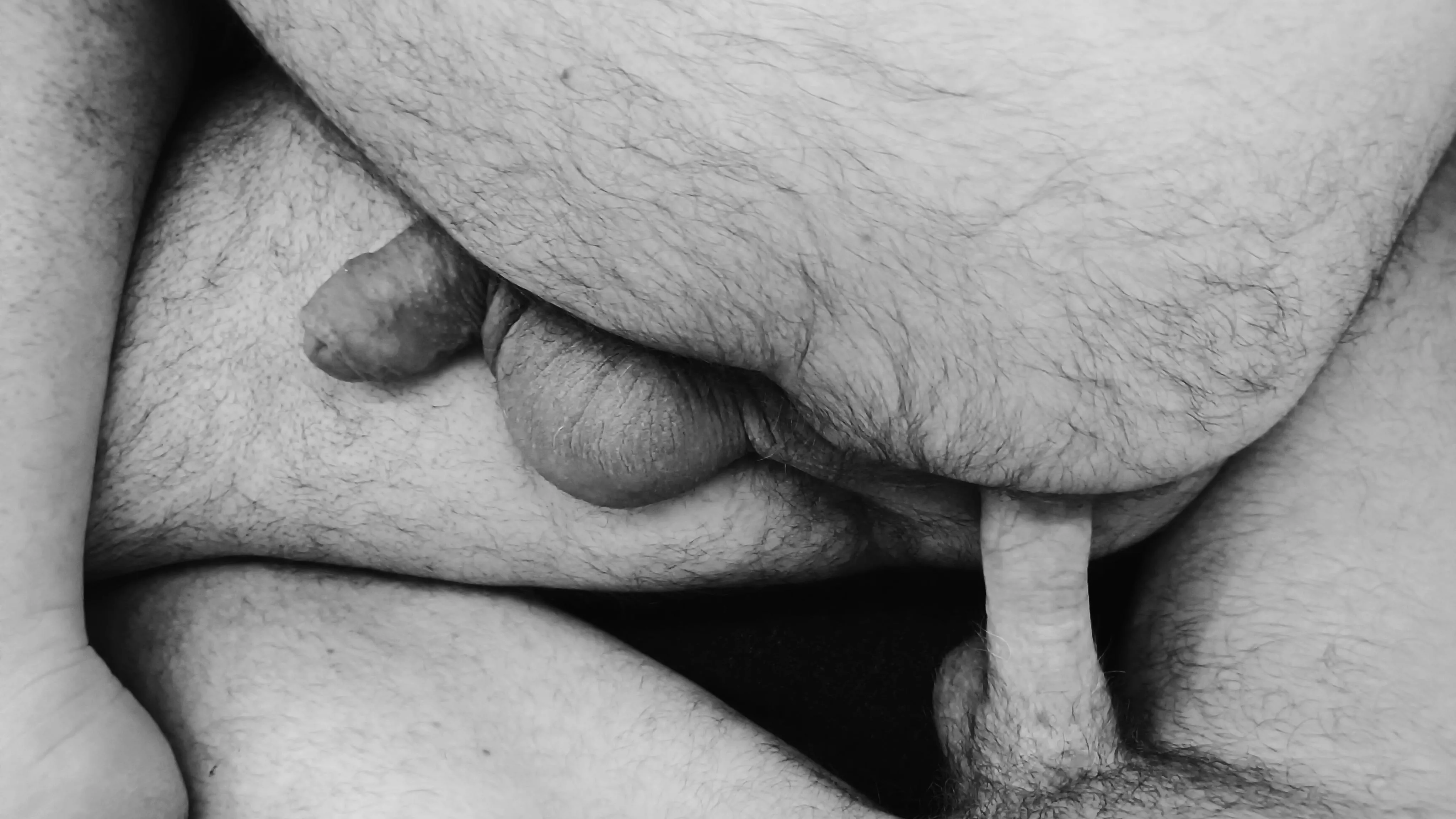 Which bear is next for a slow Sunday fuck...? posted by ActImportant5672