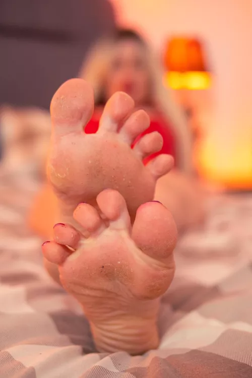 your tongue doesn't do its job well I'll have to wipe my feet on your face by eegrant