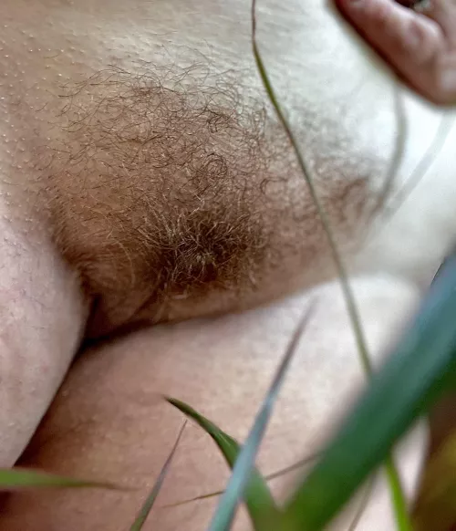 Bush in the bush by MrsBushy