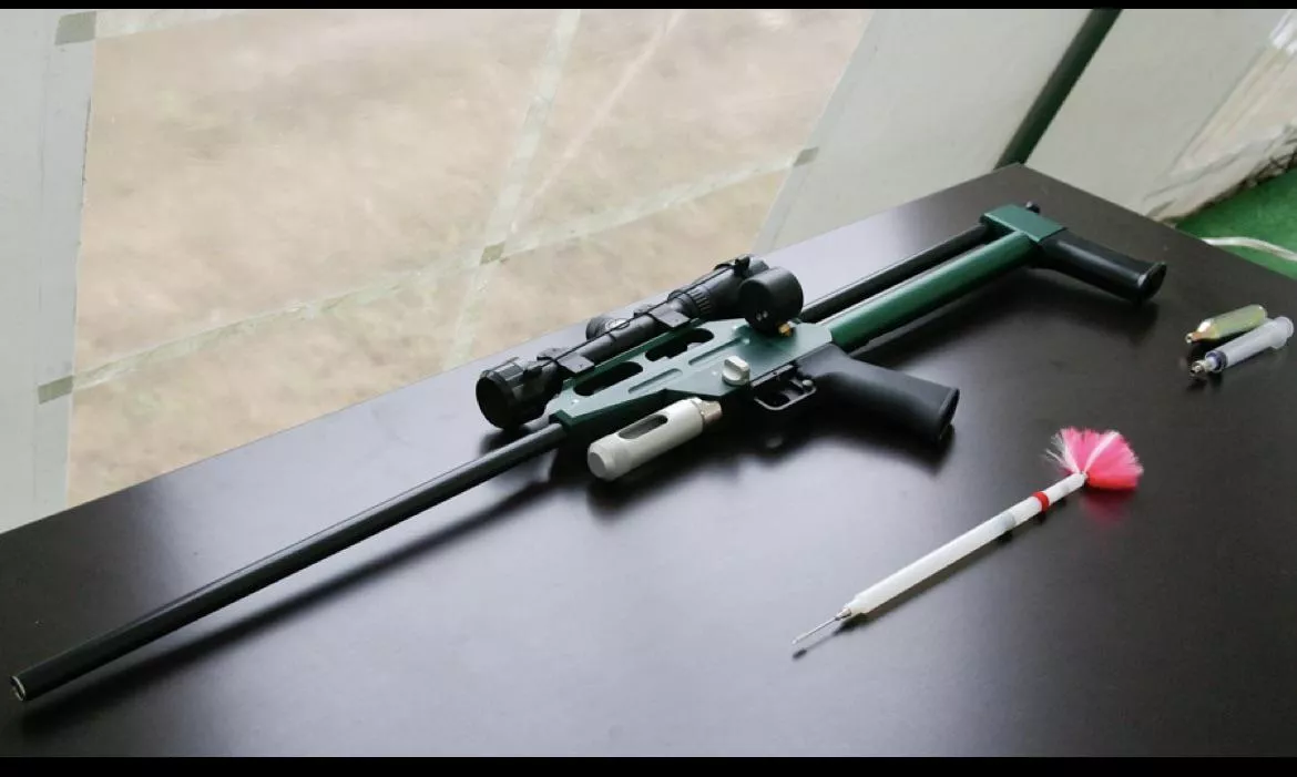 Hunting for pigs posted by Skourpi1