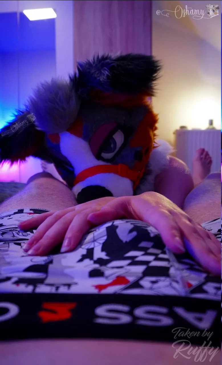 ~ Let me help you out 💋😏 posted by Oshamy_the_Furry_YT