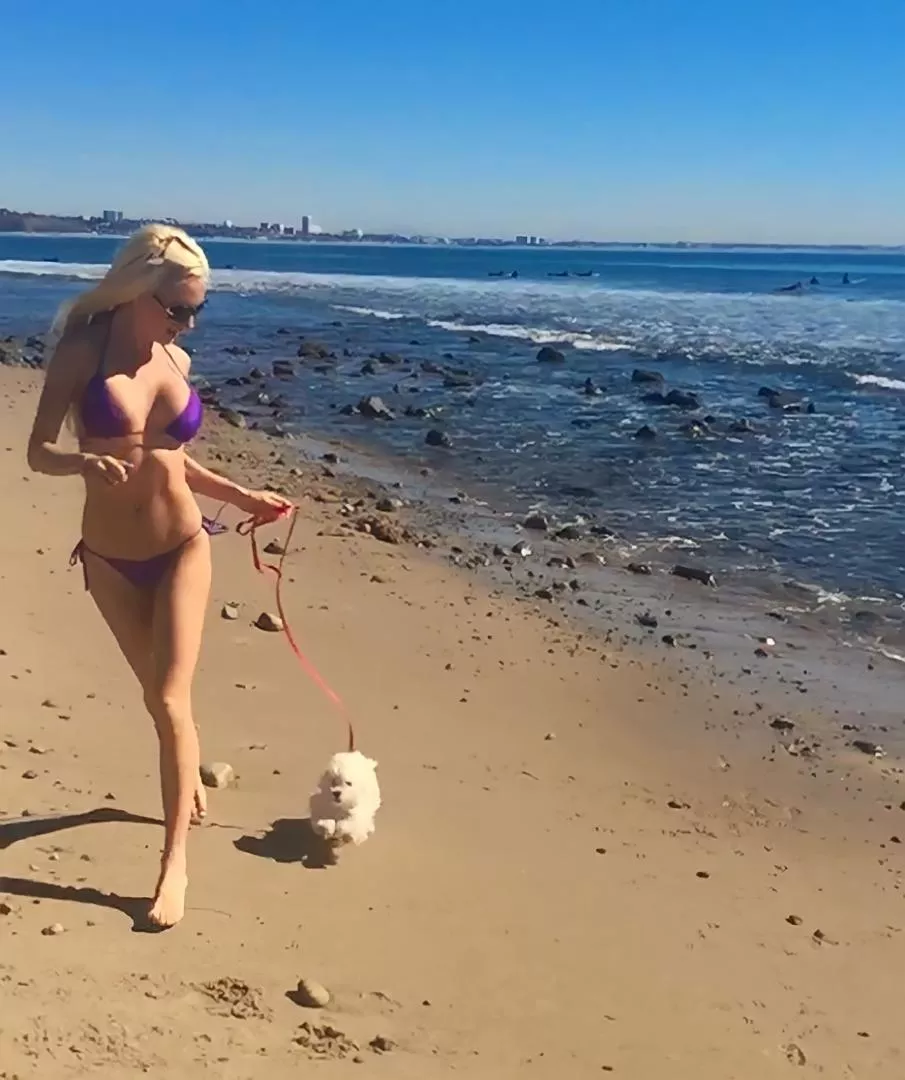 My baby doggie adores running at the beach ⛱️🐩 posted by lacieheartx