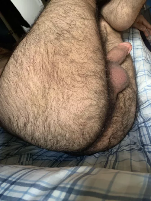 Sniff my hairy ass🫵 by Prestigious_Sky_5043