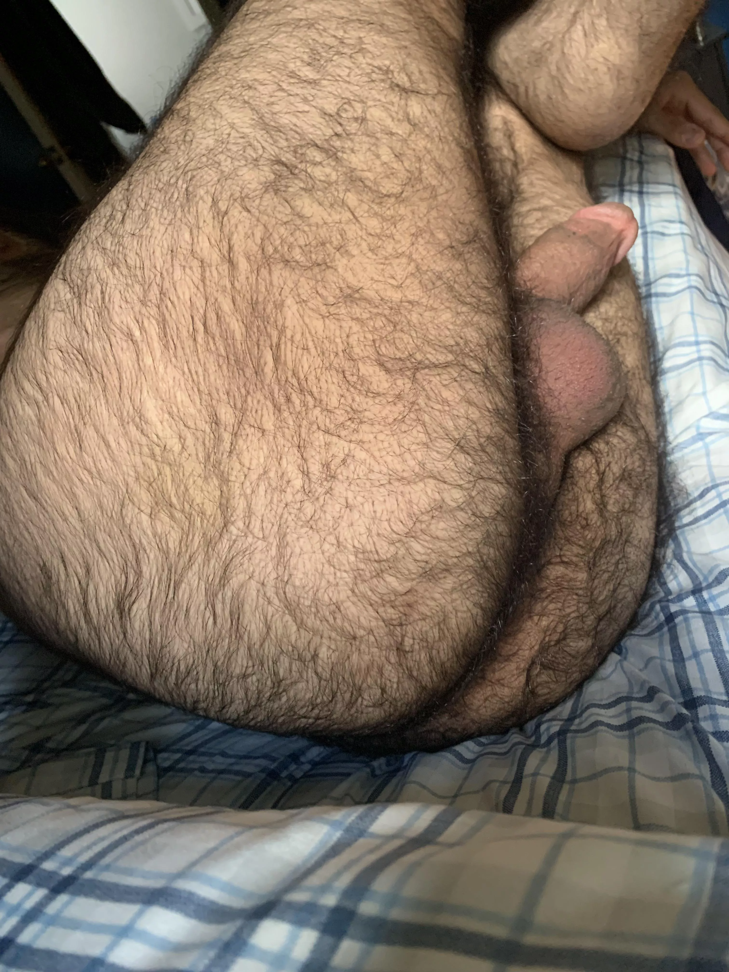 Sniff my hairy ass🫵 posted by Prestigious_Sky_5043
