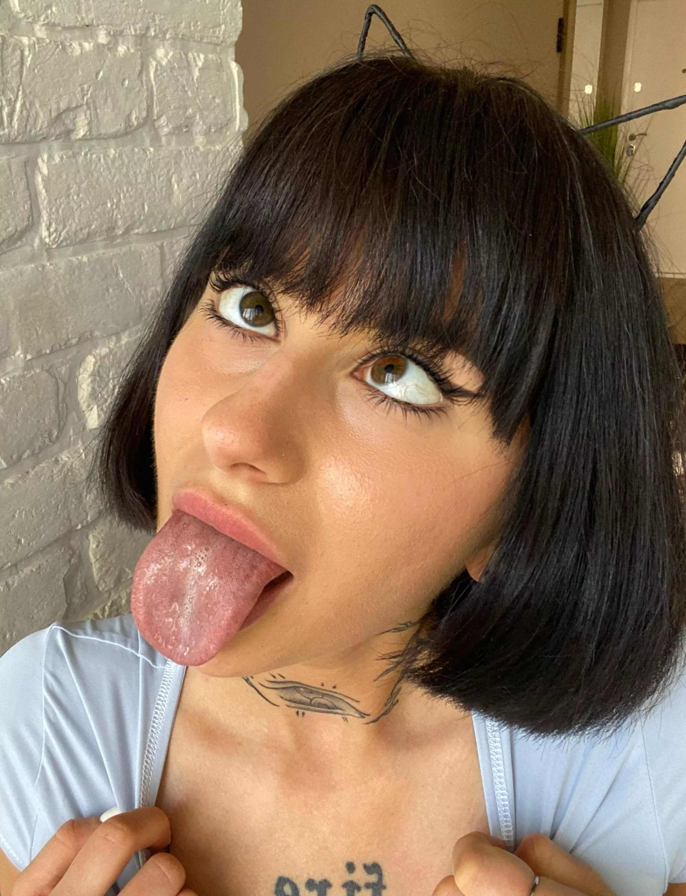 This kitty is incredibly hungry posted by Slimedorion26