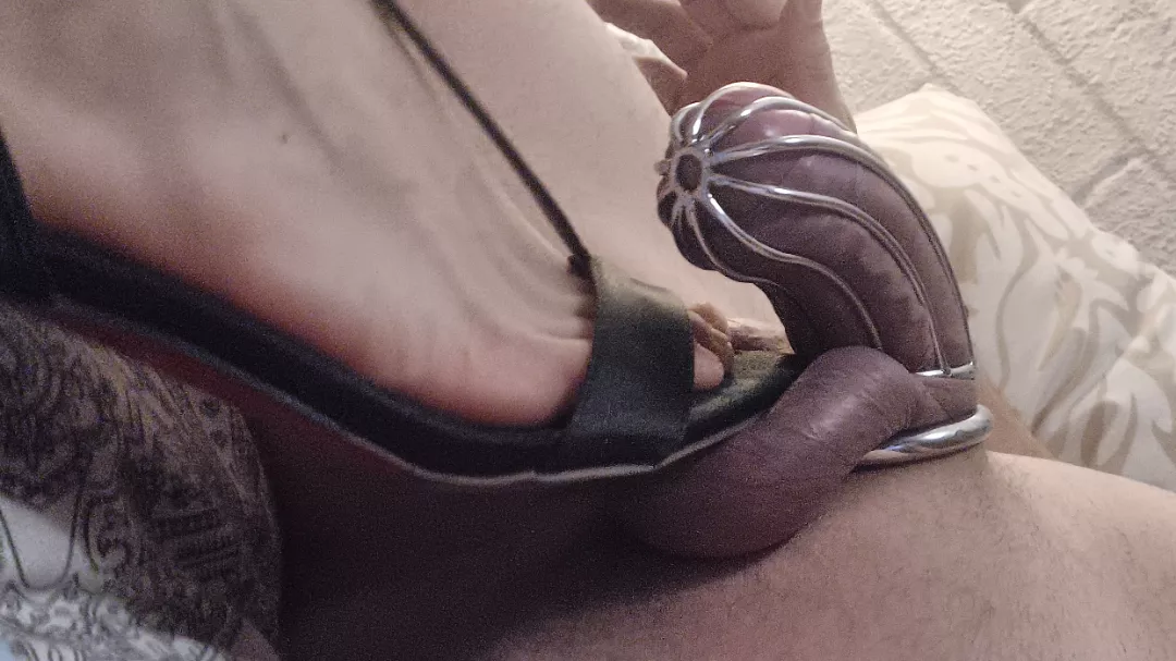 Caked cock, crushed blue balls posted by dirty_degenerate