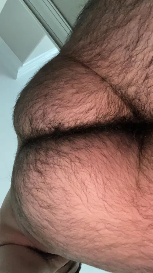 Eat my hairy Latino ass  by Severe-Bed-2071