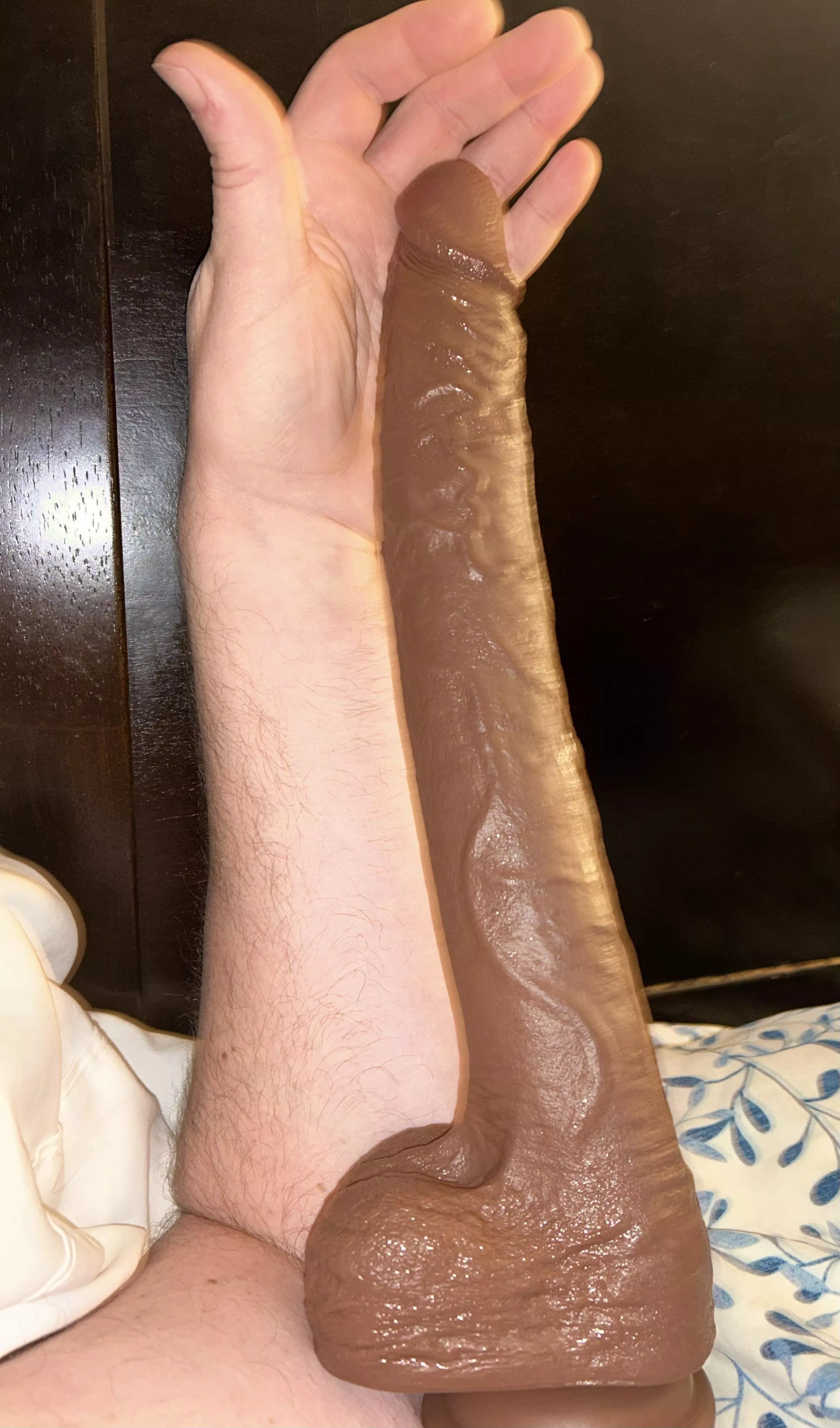 New toy posted by Known_Cranberry_722