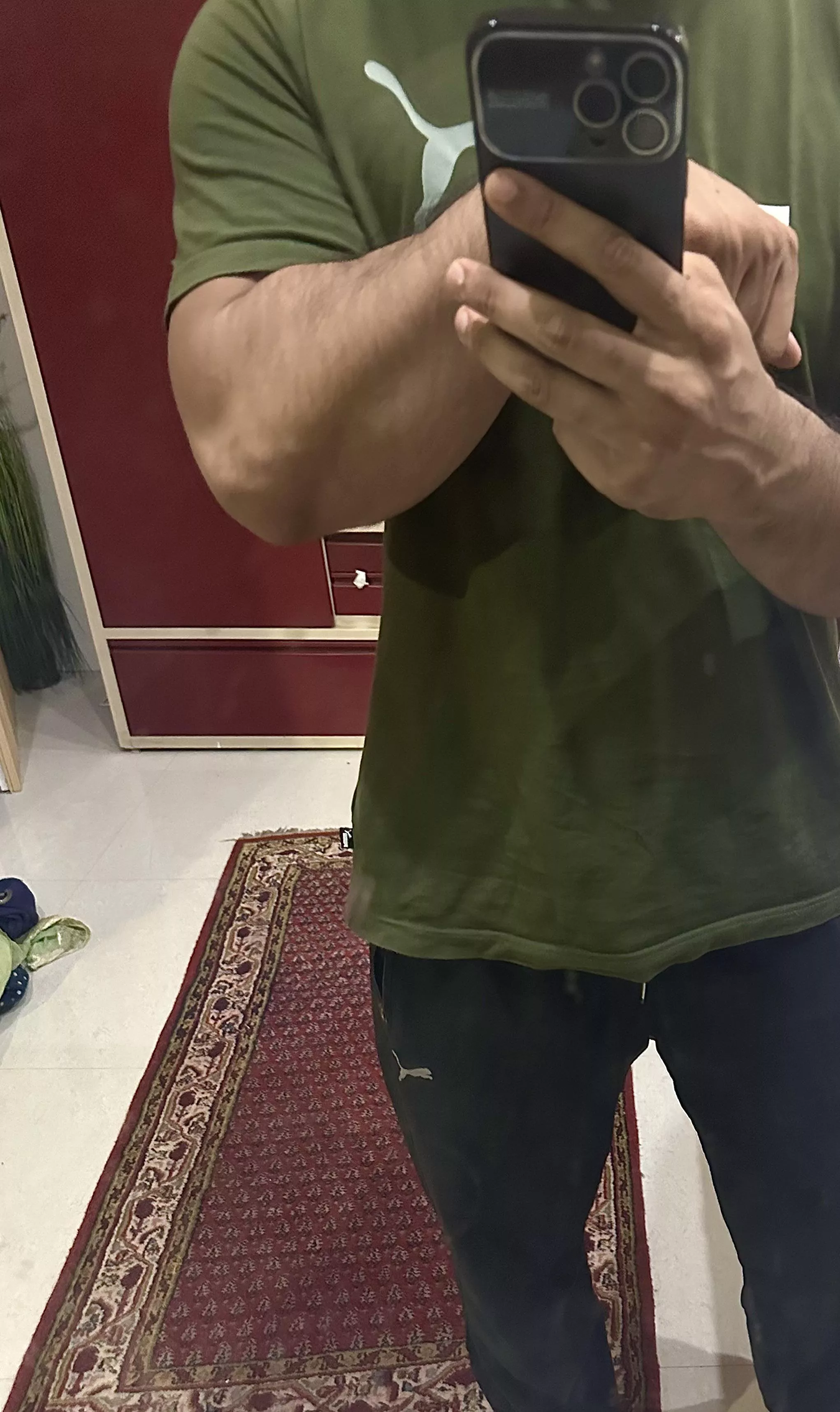 Tree trunks posted by 00DXD