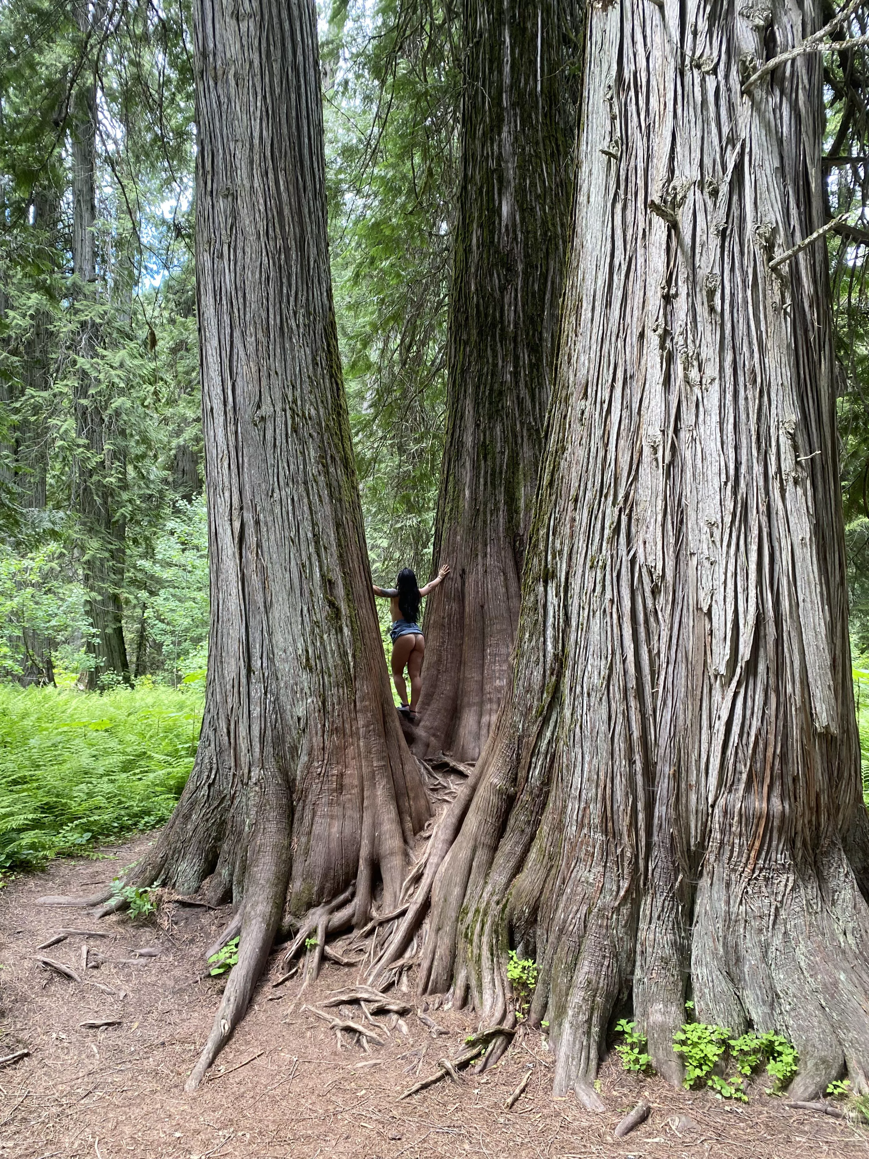 Waiting to be claimed by the Ewoks  posted by stormwarning88