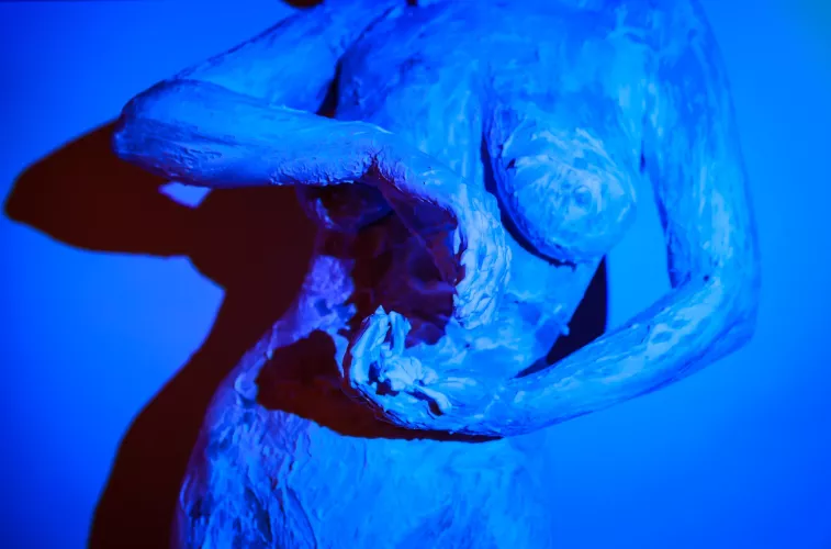 Yin and yang  by modeladventurer