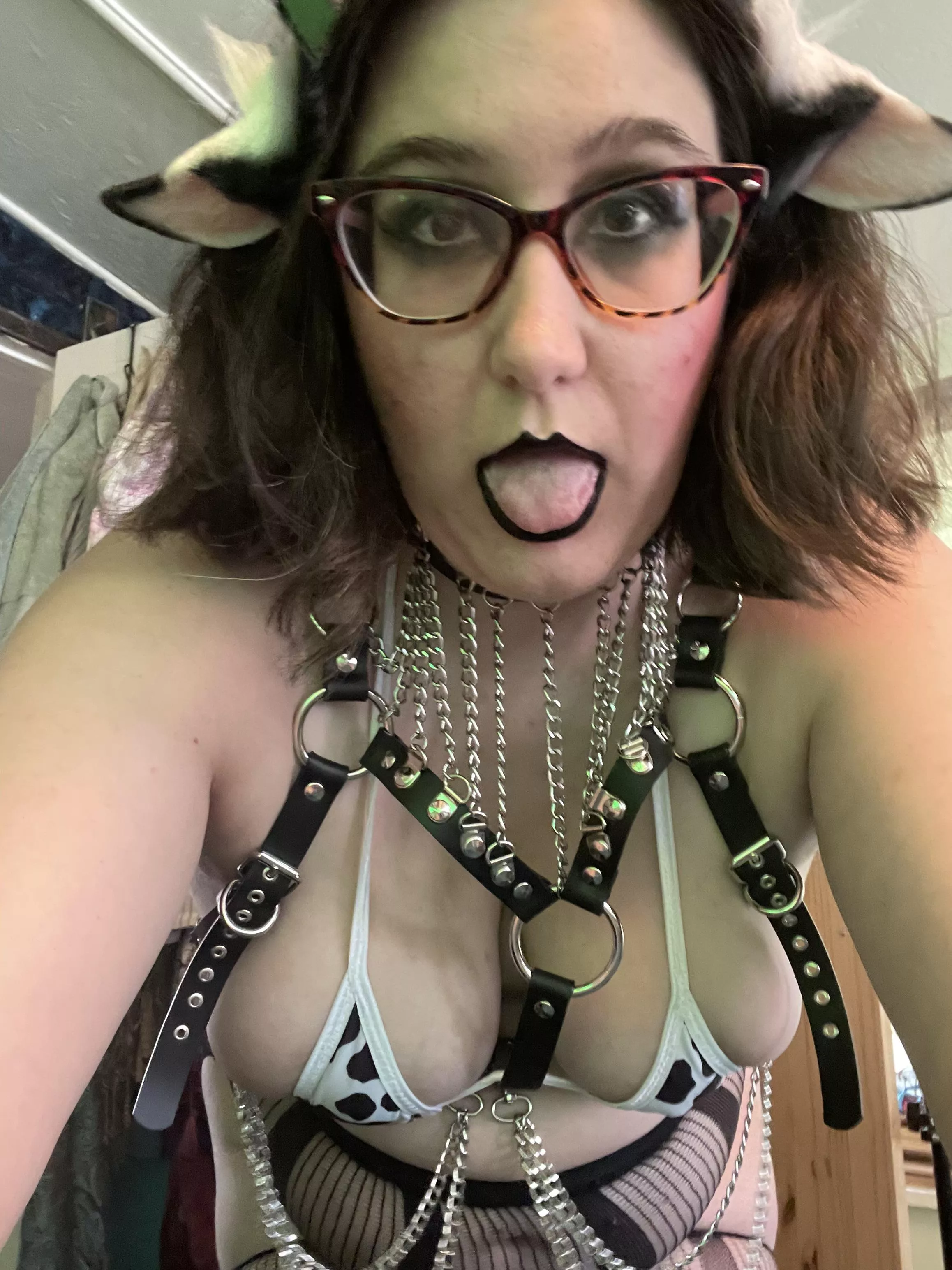Your favorite kinky cowslut is ready to play: What are you waiting for? posted by ZilvraVd
