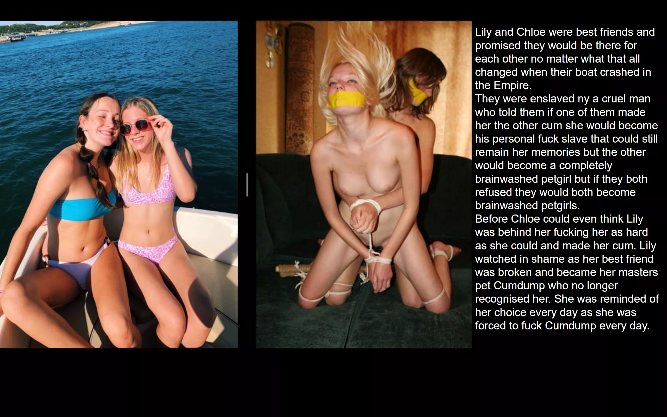 A Friend's Betrayal posted by Petgirl1212