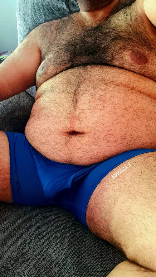 Built like a teddy bear by NOVAdesi1993