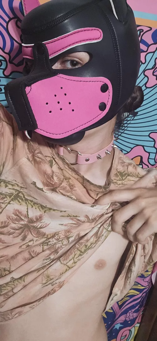 First hood 😋 by graycenpup