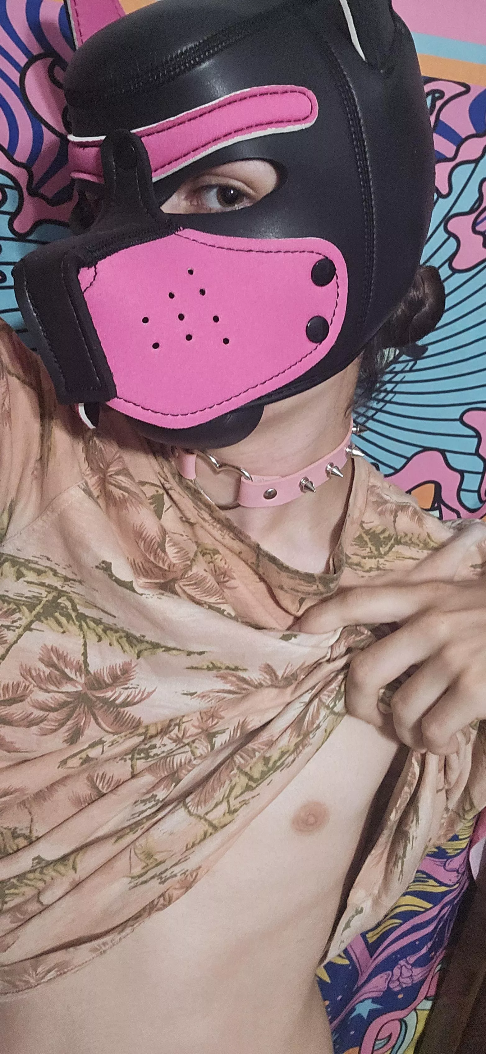 First hood 😋 posted by graycenpup