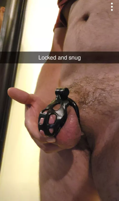 He lost composure, grabbed and fucked me until he filled me with cum while I was Topping him. He clearly can't be trusted out of his cage.  by PotsToy