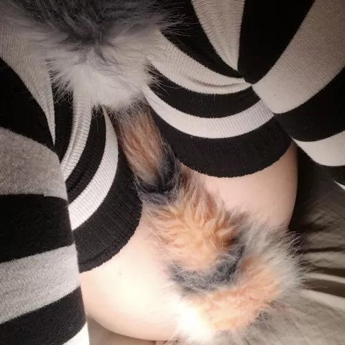 hehe maaybe you should lift my tail >;3  by sillykkitty