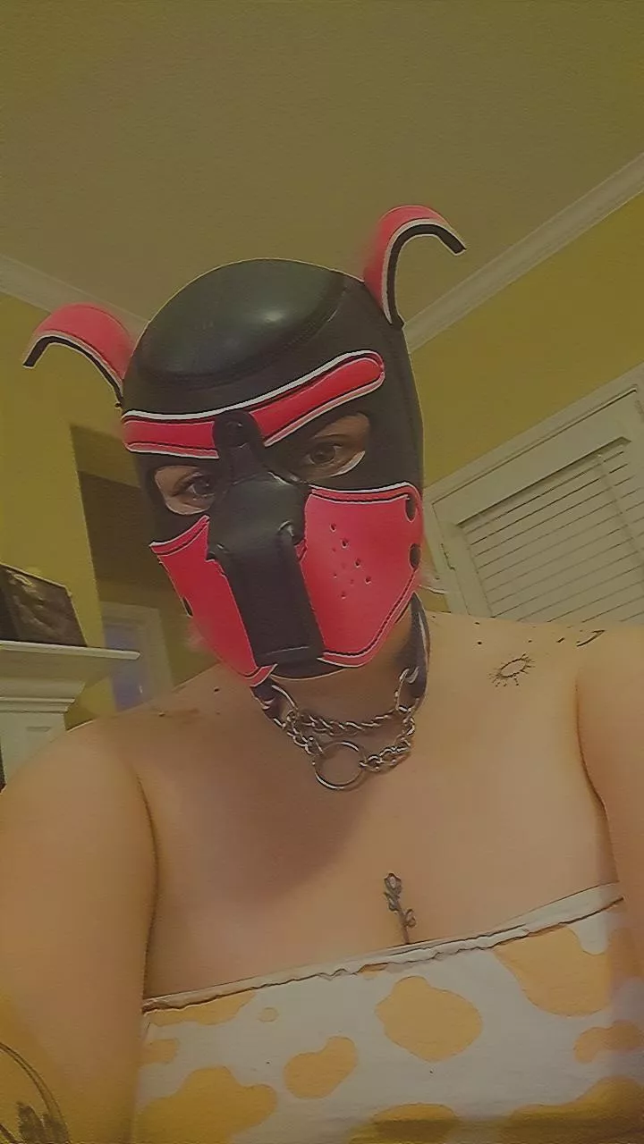 Hello! posted by mssshortcake