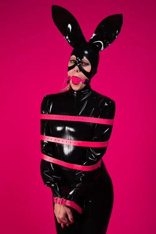 I just love my Bound Bunny. by yourboundwife