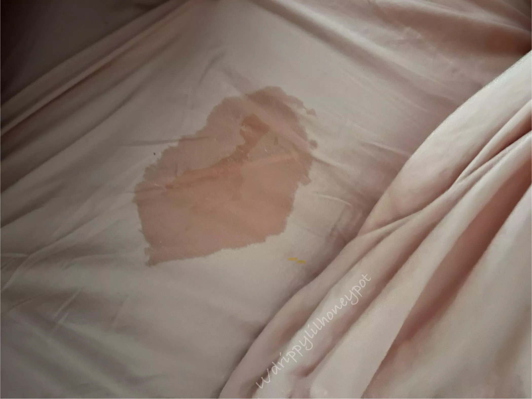 I made a wet spot the size of a dinner plate posted by drippylilhoneypot