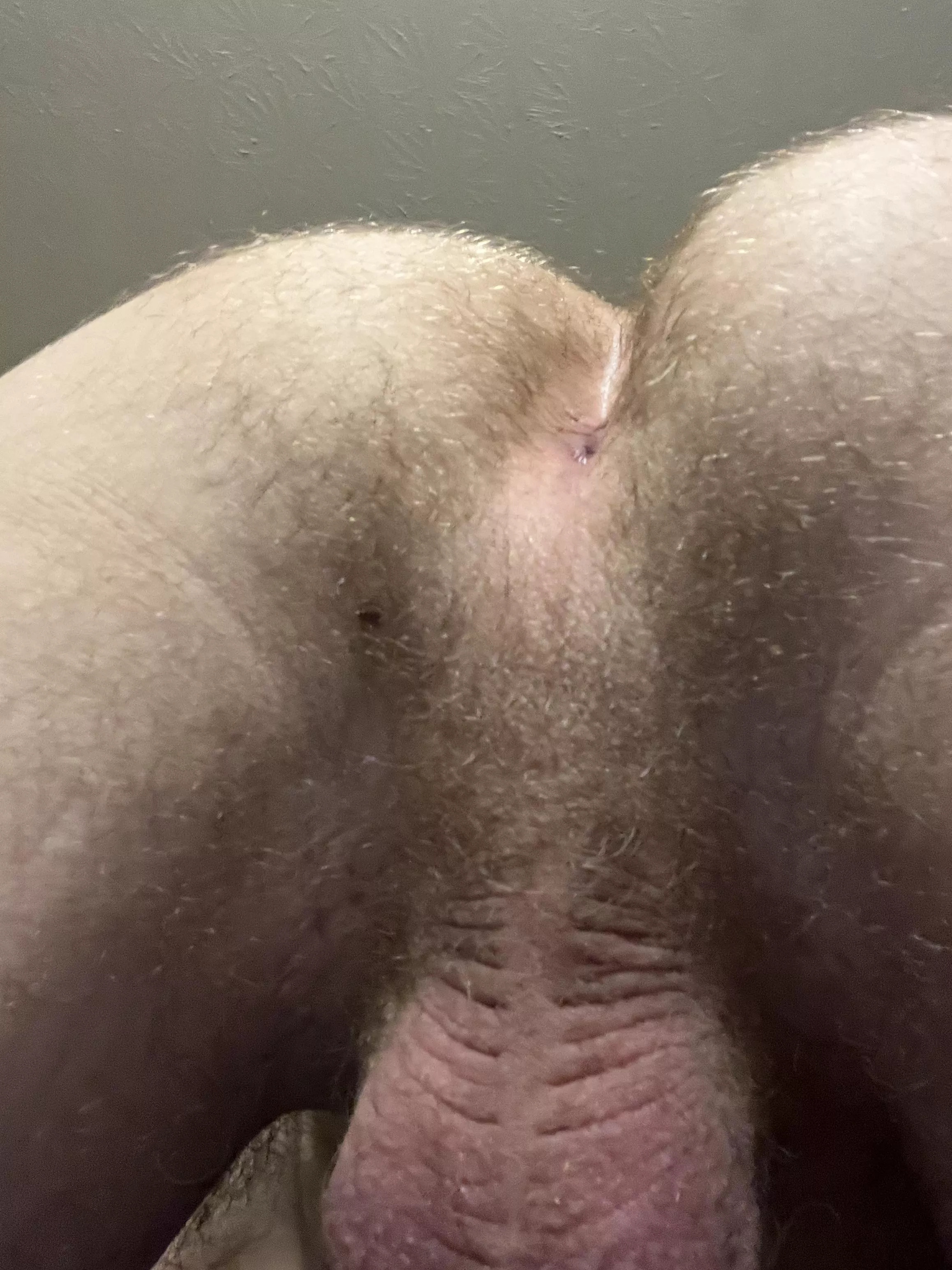 I’ll make your dick stink 😈 23 posted by Sea_Bass_7183