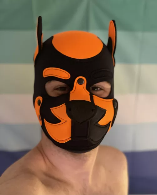 In love with my new hood 🥹 by PupAjaxTheGreat