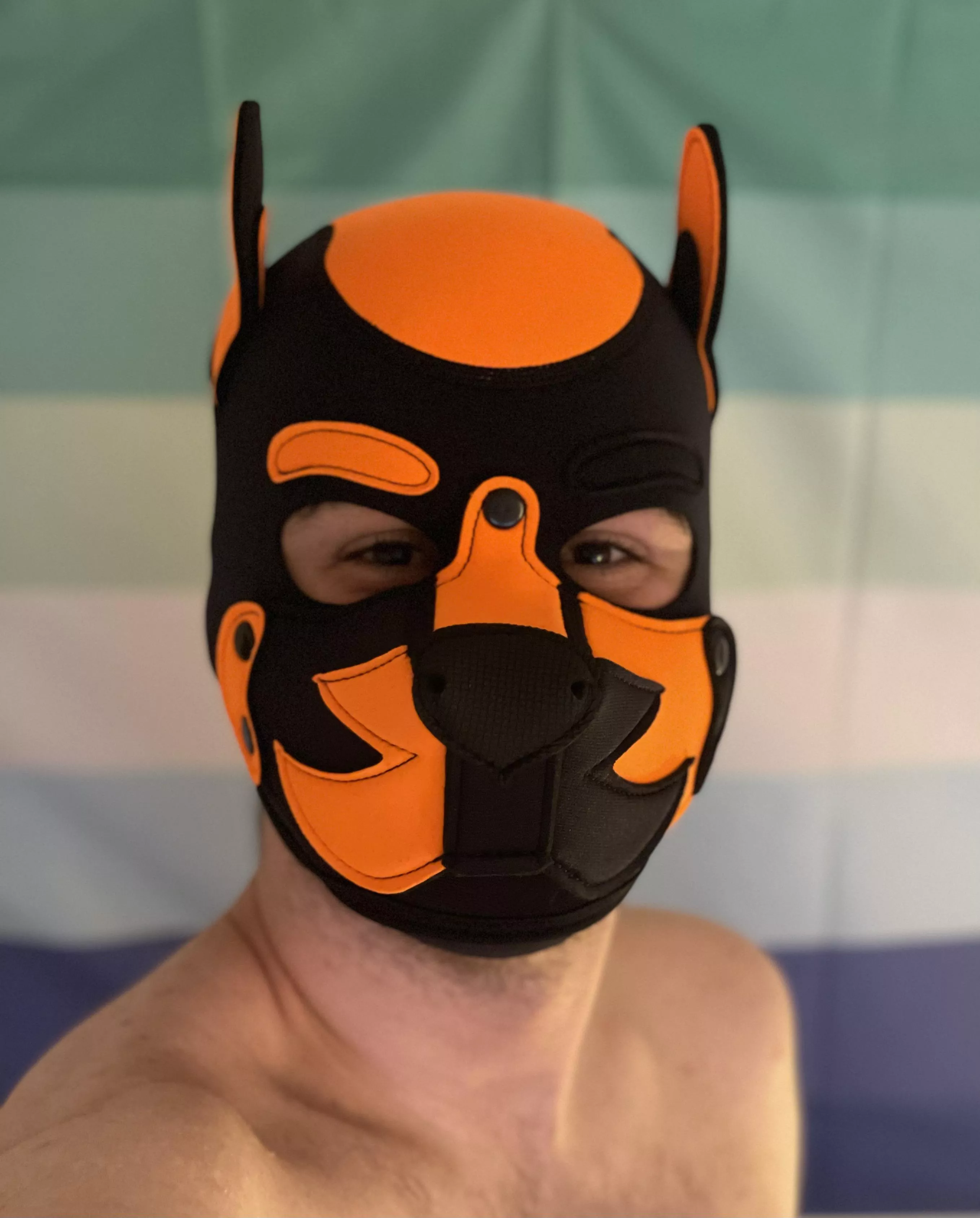 In love with my new hood 🥹 posted by PupAjaxTheGreat