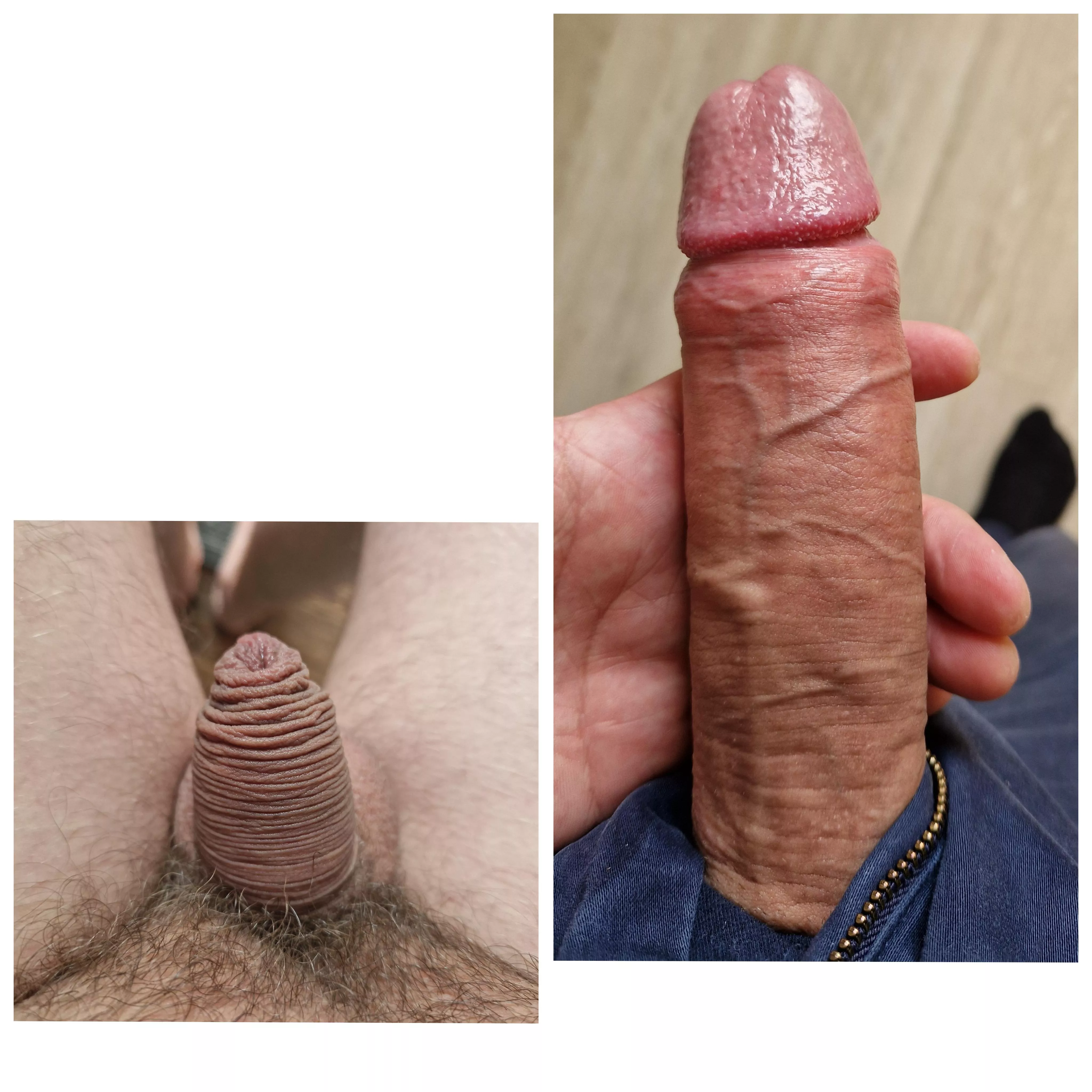 It sure grows posted by Intelligent_Duty2072