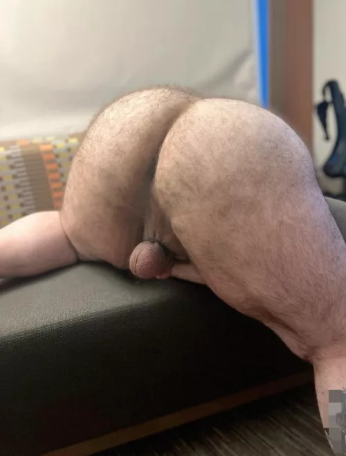 It’s HumpDay so let’s hump by bigmikemccarthy