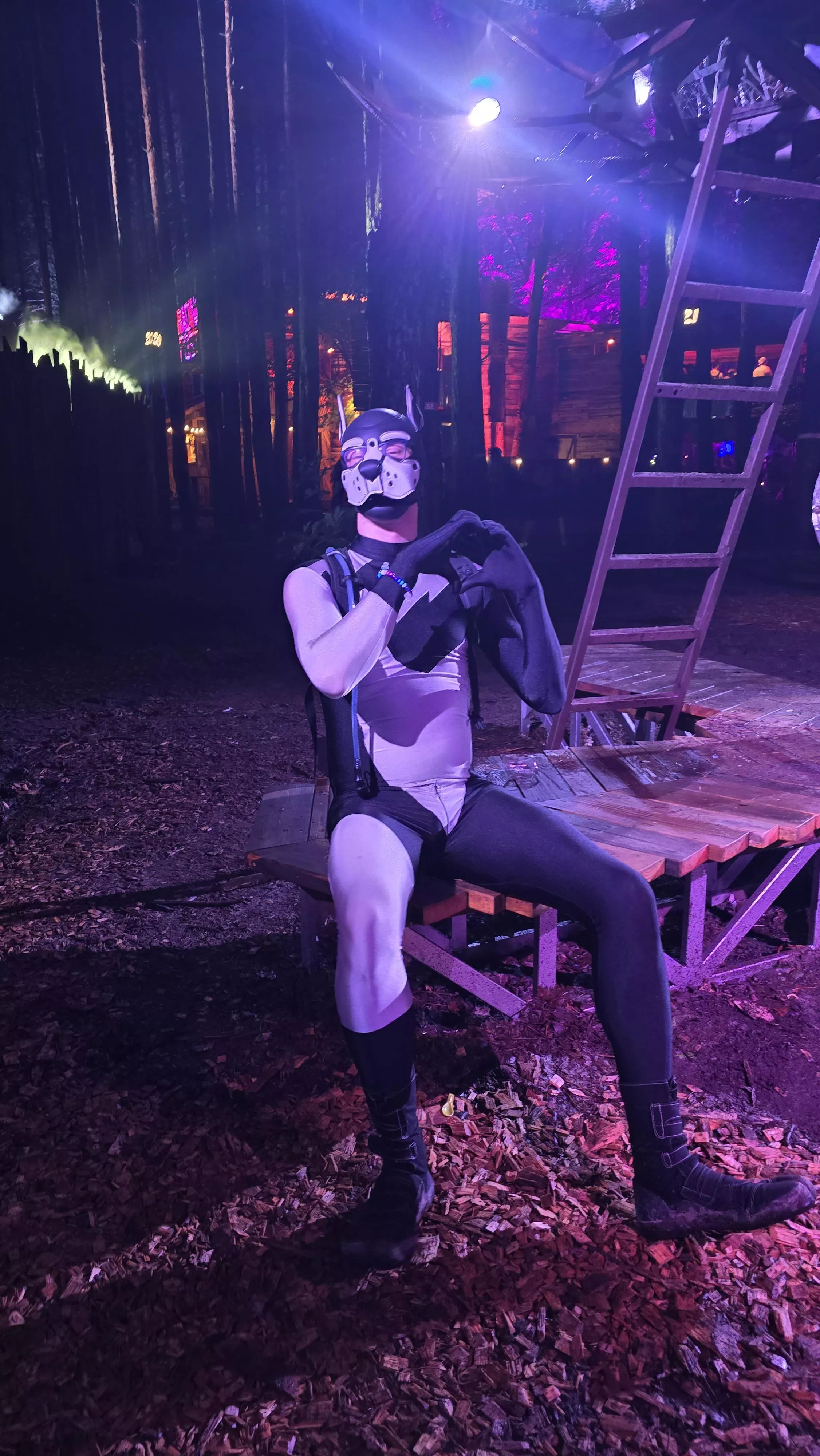 Made it to my first Electric Forest posted by Gimpspasm