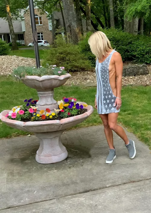 My flowers are in full bloom by SavanahLinn