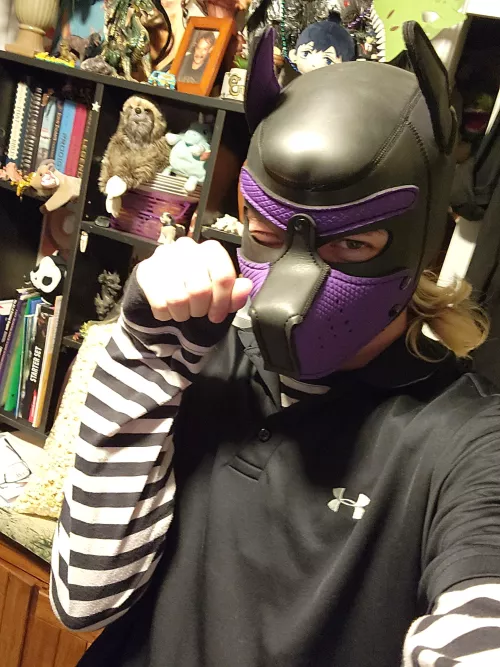 Pup happy to be home ♡ by destrian1x