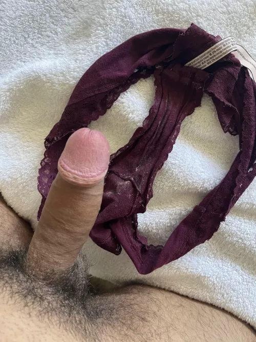 should i cum on these used panties? by Evening-Big-6022