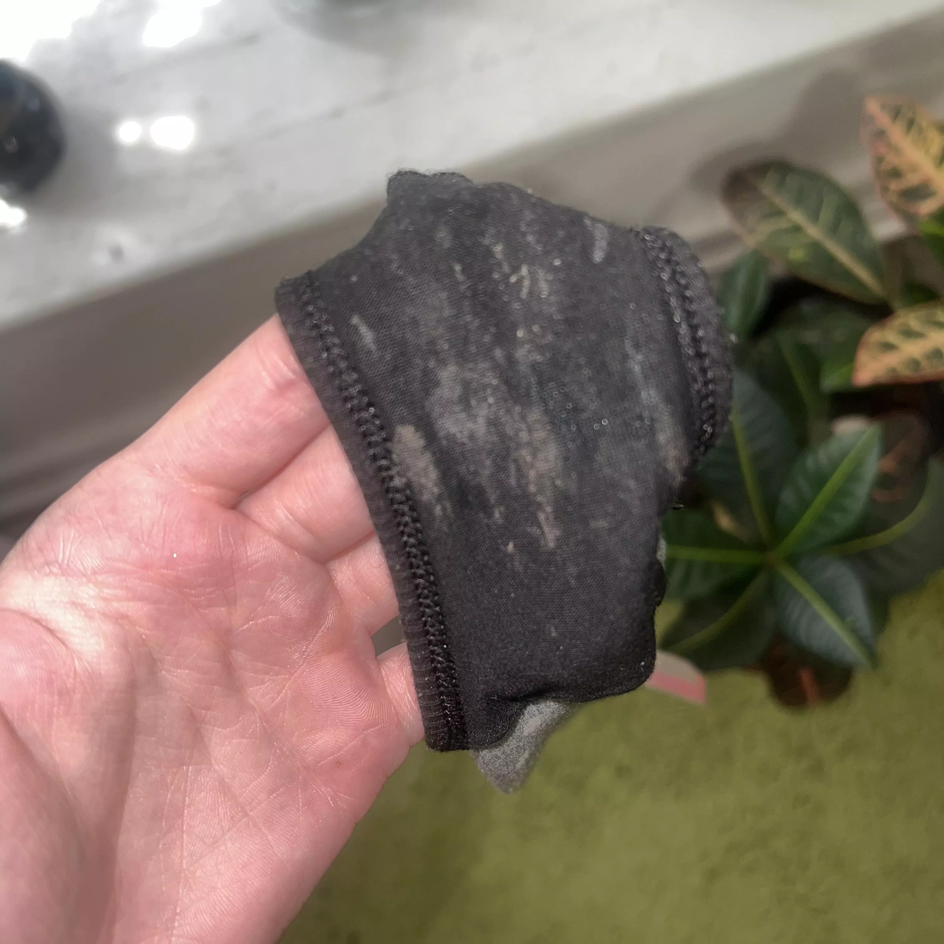 Would you lick my crusty panties  posted by Faairyfeet