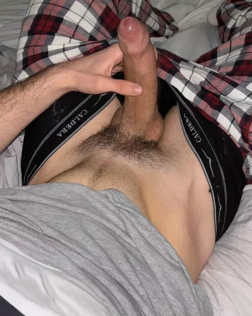 [22] should I trim or let my bush grow? 👀 by paulroyy331