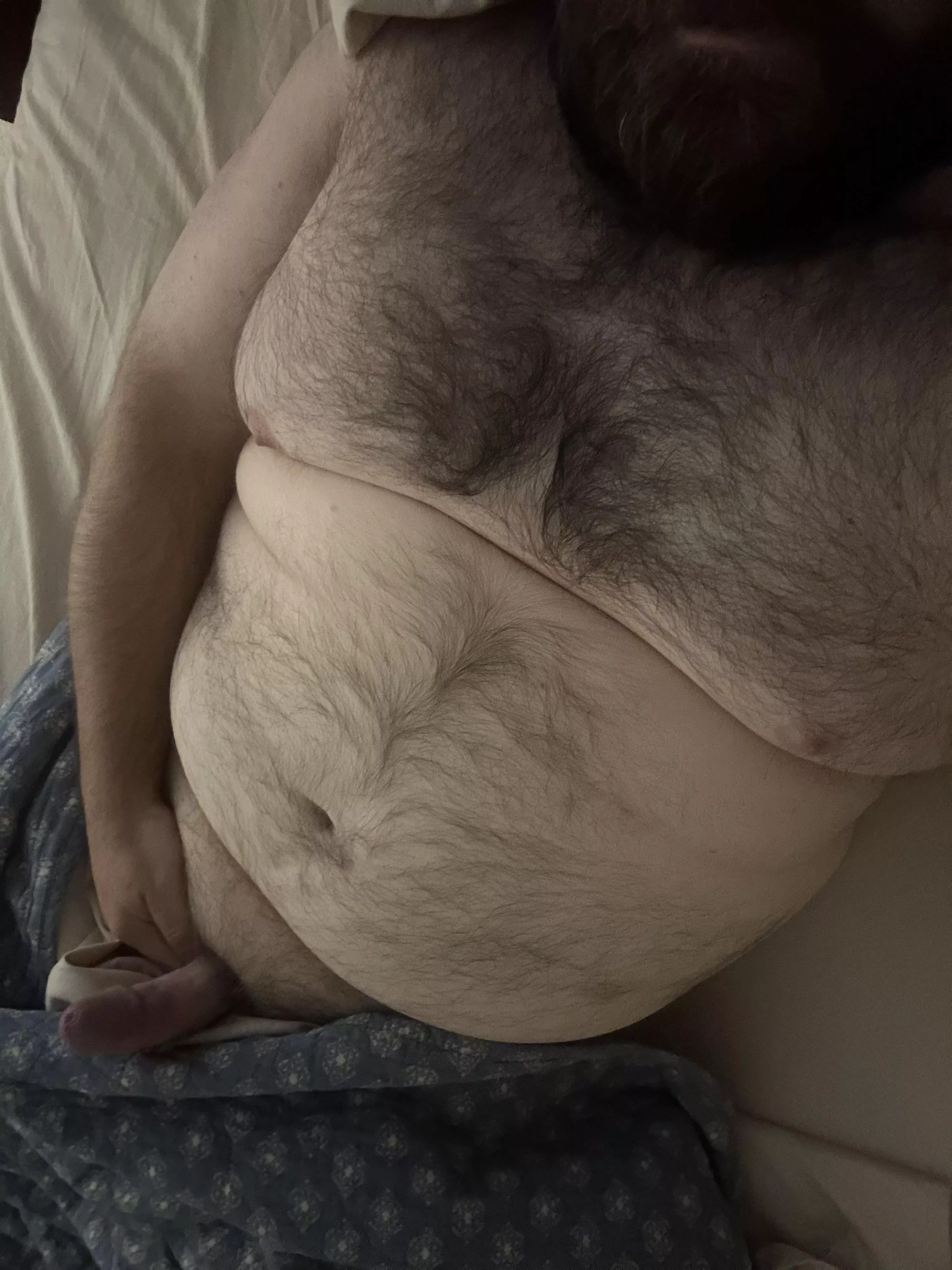All these BBWs got me worked up! posted by bhm2024