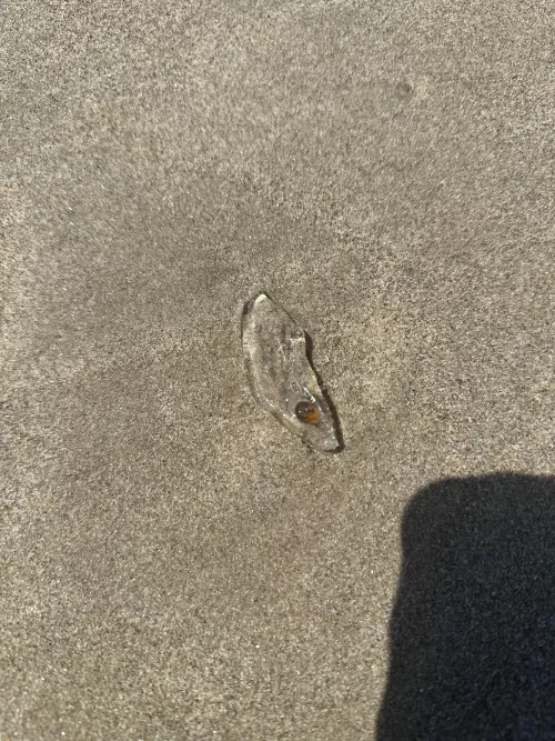 Clear beach jelly blob with eye by Expensive_Buy2936