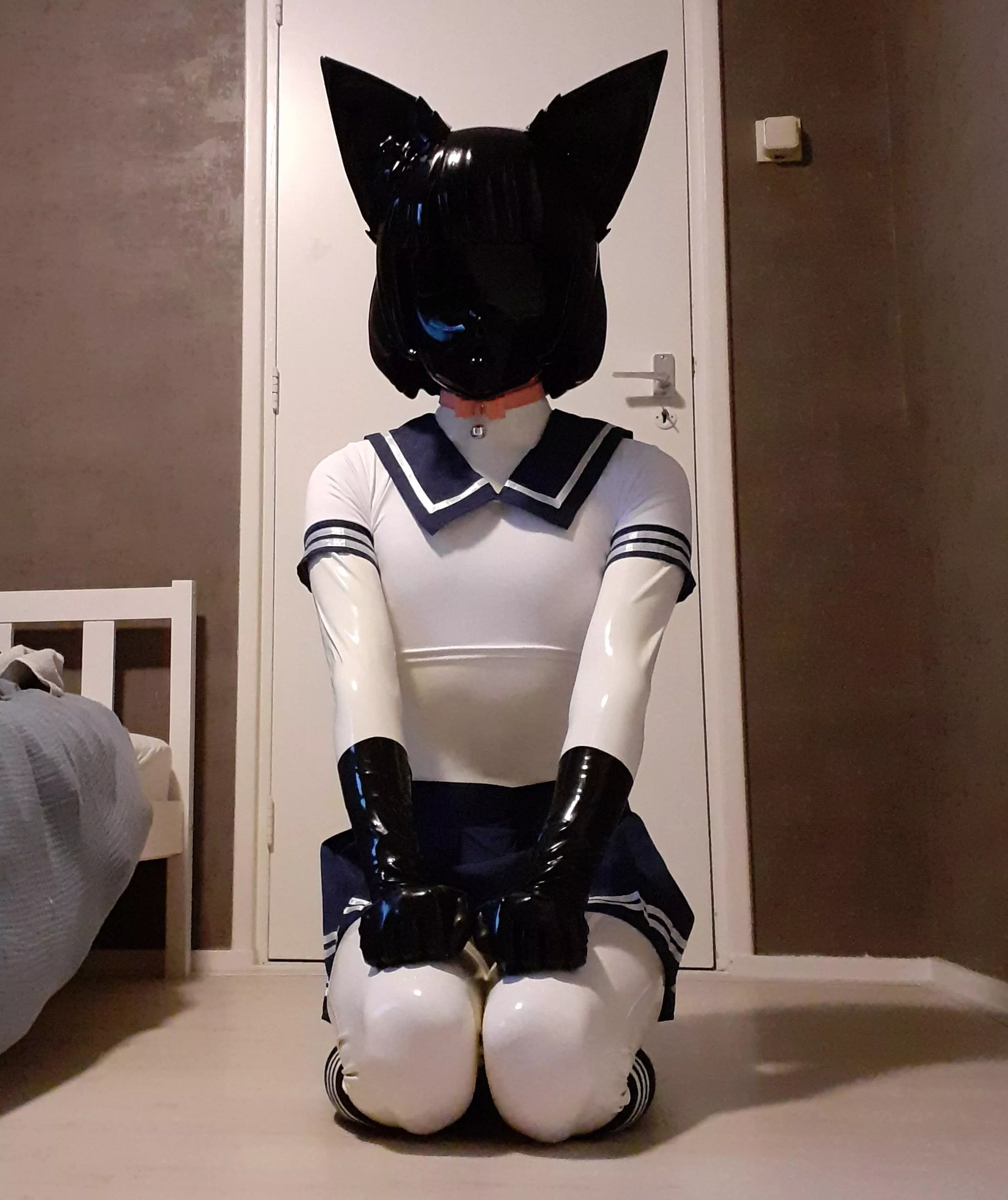 Just a kitty showing its submission and discipline UwU posted by BunchOfTwelveBunnies
