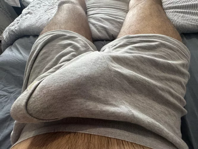 Just some average morning wood… by iamnotinvolved