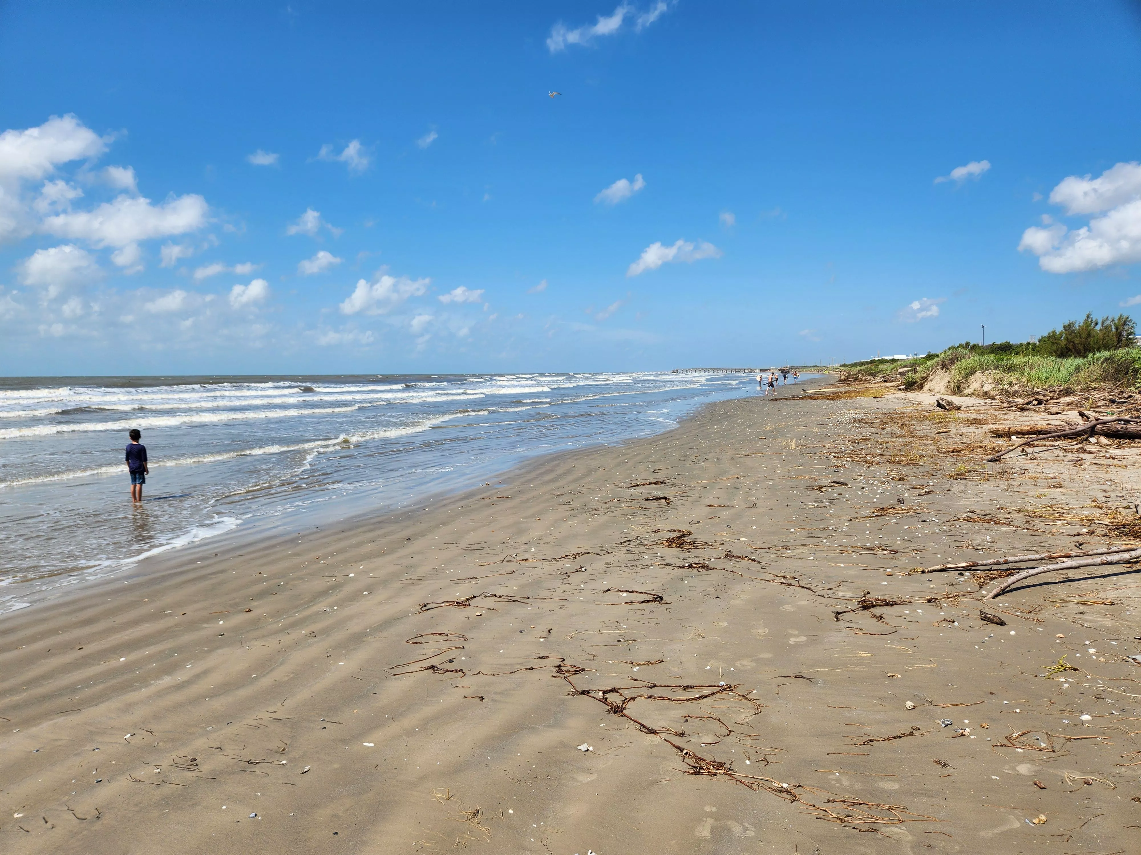 Upper Texas Coast posted by stevemcnugget