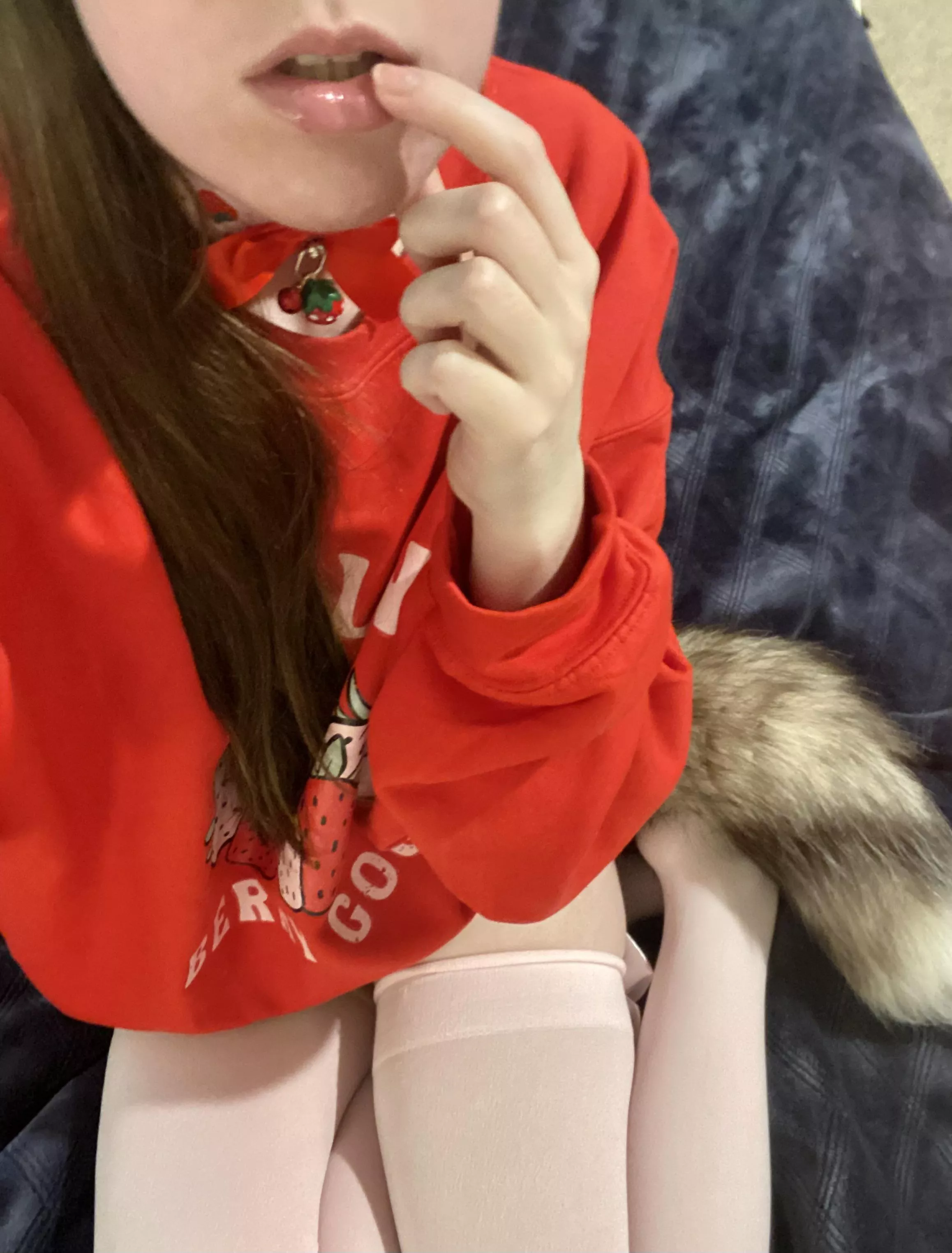 If kitty looks up at you like this will you give me a treat? posted by MayeBird