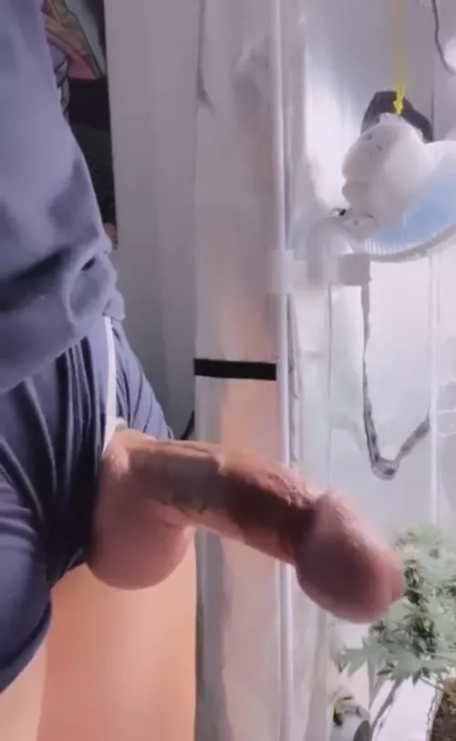 Legend has it he points to the secret garden(m) by sovereignman43