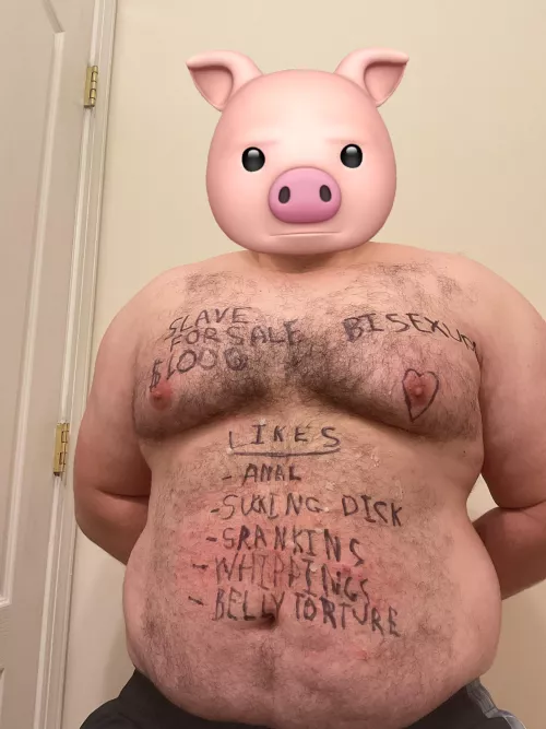 Piggy for sale. Start your bids. by bdsmsrg