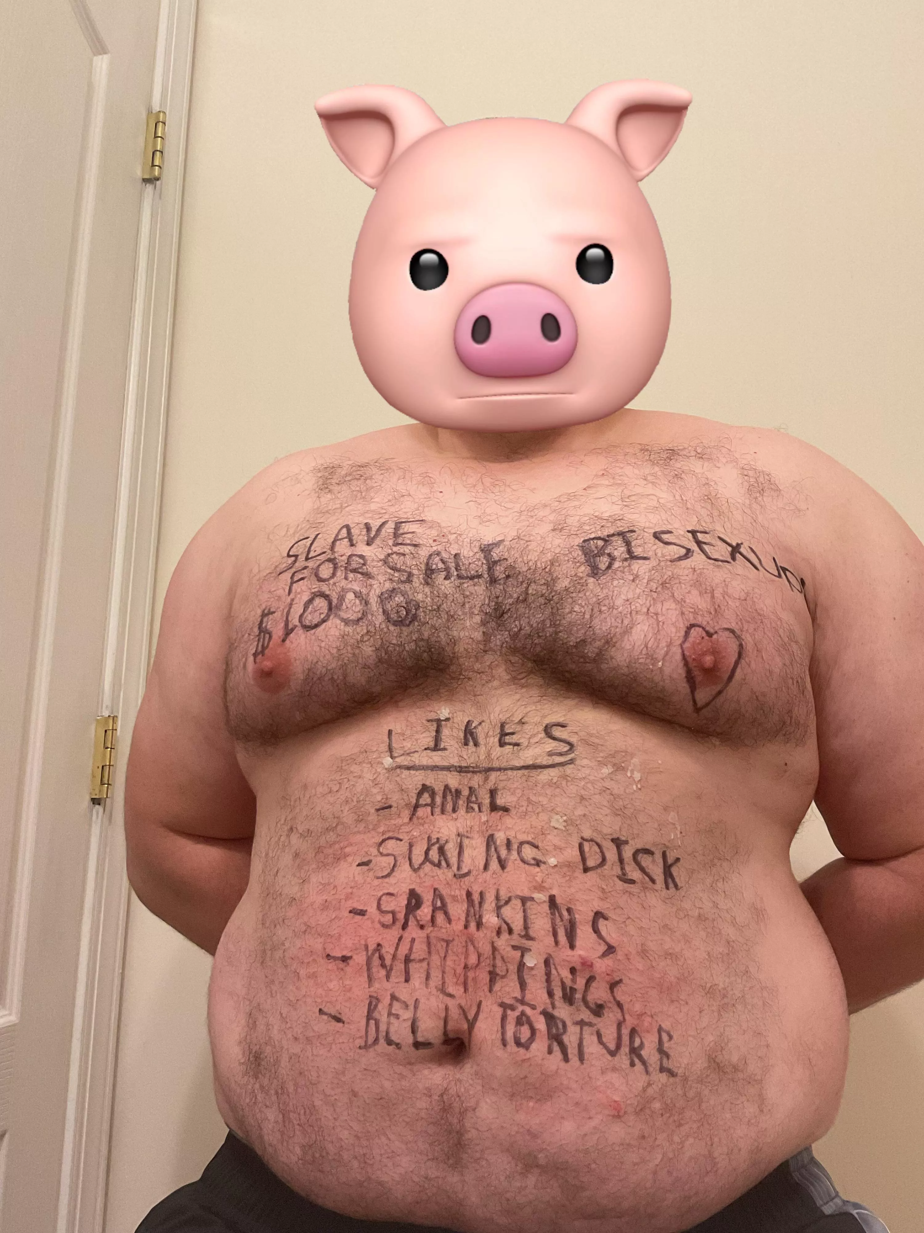 Piggy for sale. Start your bids. posted by bdsmsrg