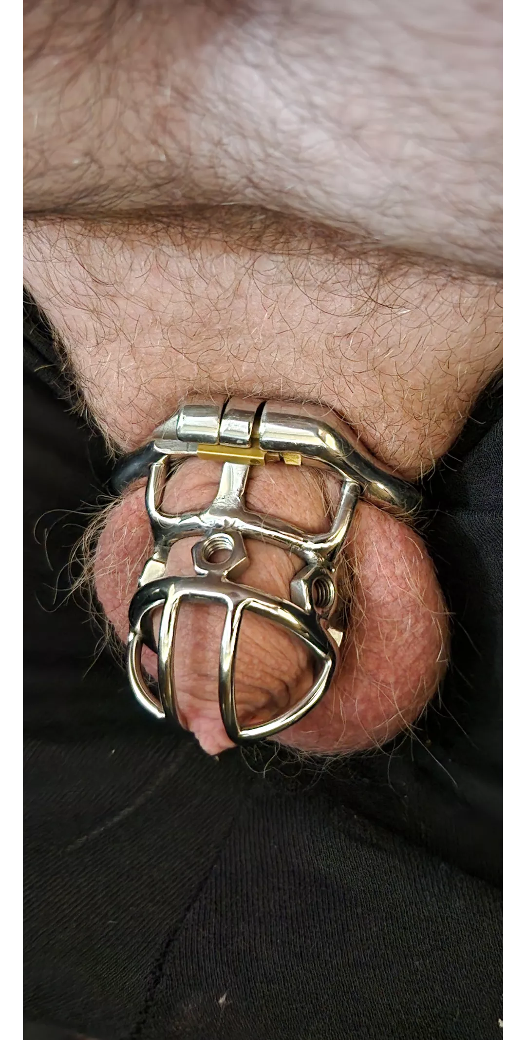 This is the smallest cage i have posted by Active-Difficulty-86